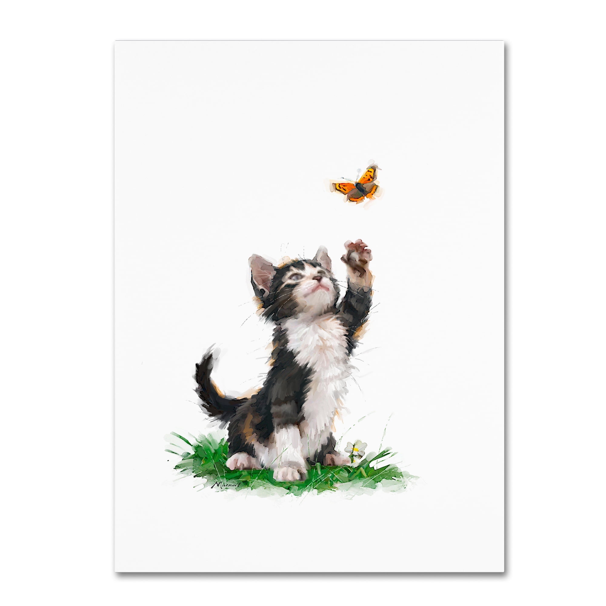 Gallery-Wrapped Canvas Art of Kitten with Orange Butterfly