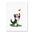thumbnail image 1 of Trademark Fine Art 'Cat With Butterfly' Canvas Art by The Macneil Studio, 1 of 3
