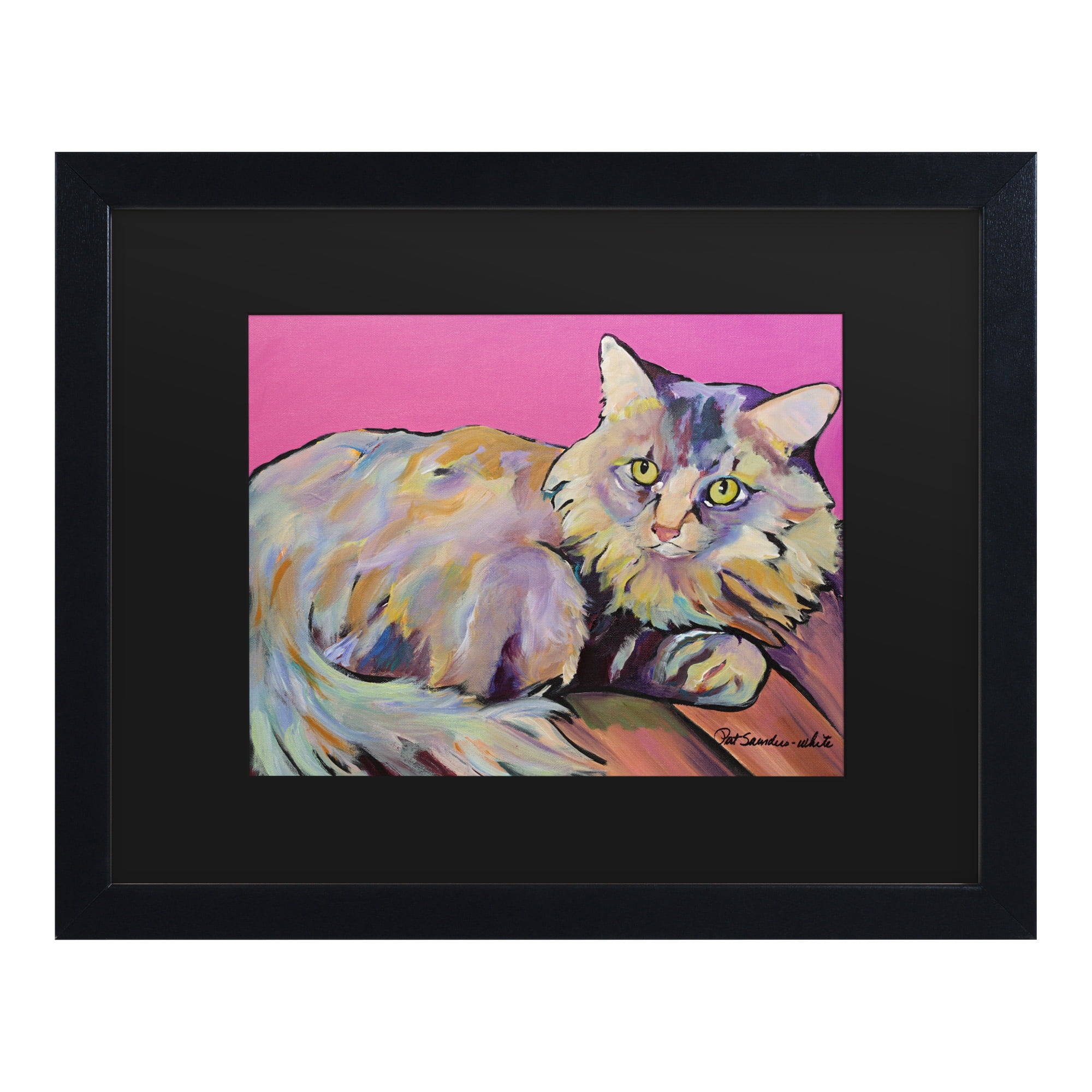Trademark Fine Art 'Catatonic' Canvas Art by Pat Saunders-White