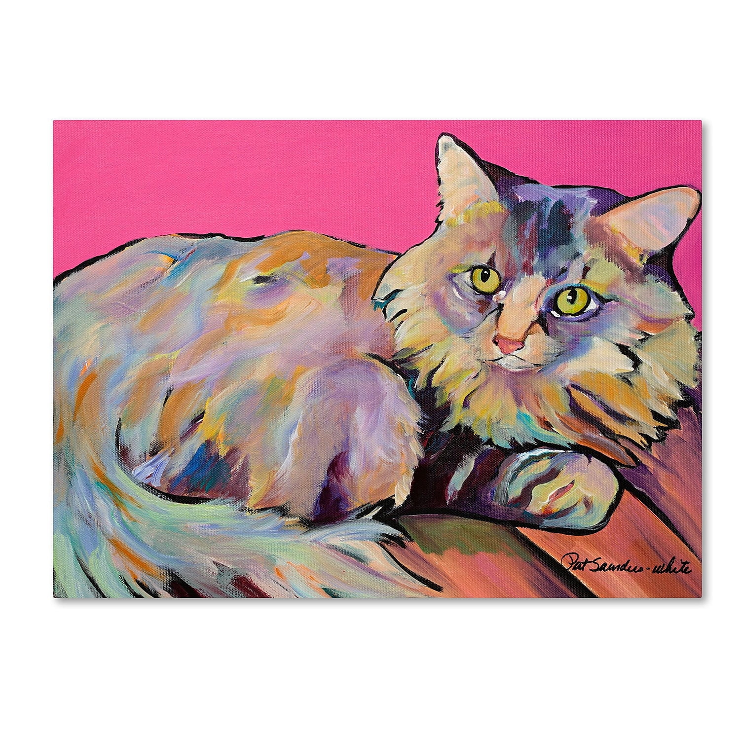 Trademark Fine Art "Catatonic" Canvas Art by Pat Saunders