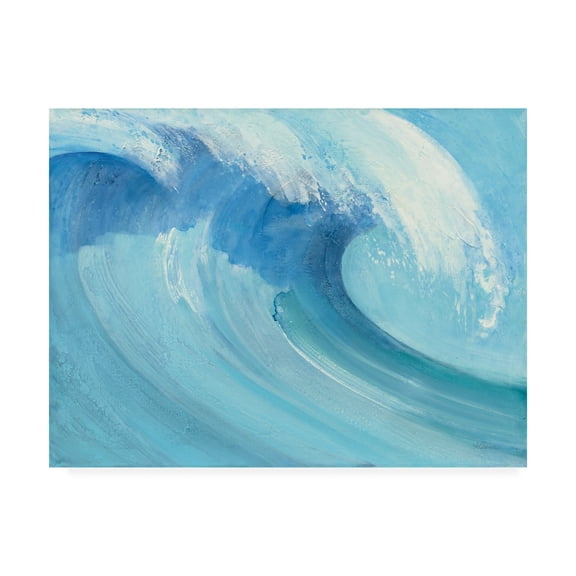 Trademark Fine Art 'Catch a Wave' Canvas Art by Albena Hristova