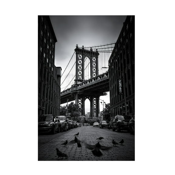 Trademark Fine Art Catherine W  Dumbo - NYC Canvas Wall Art