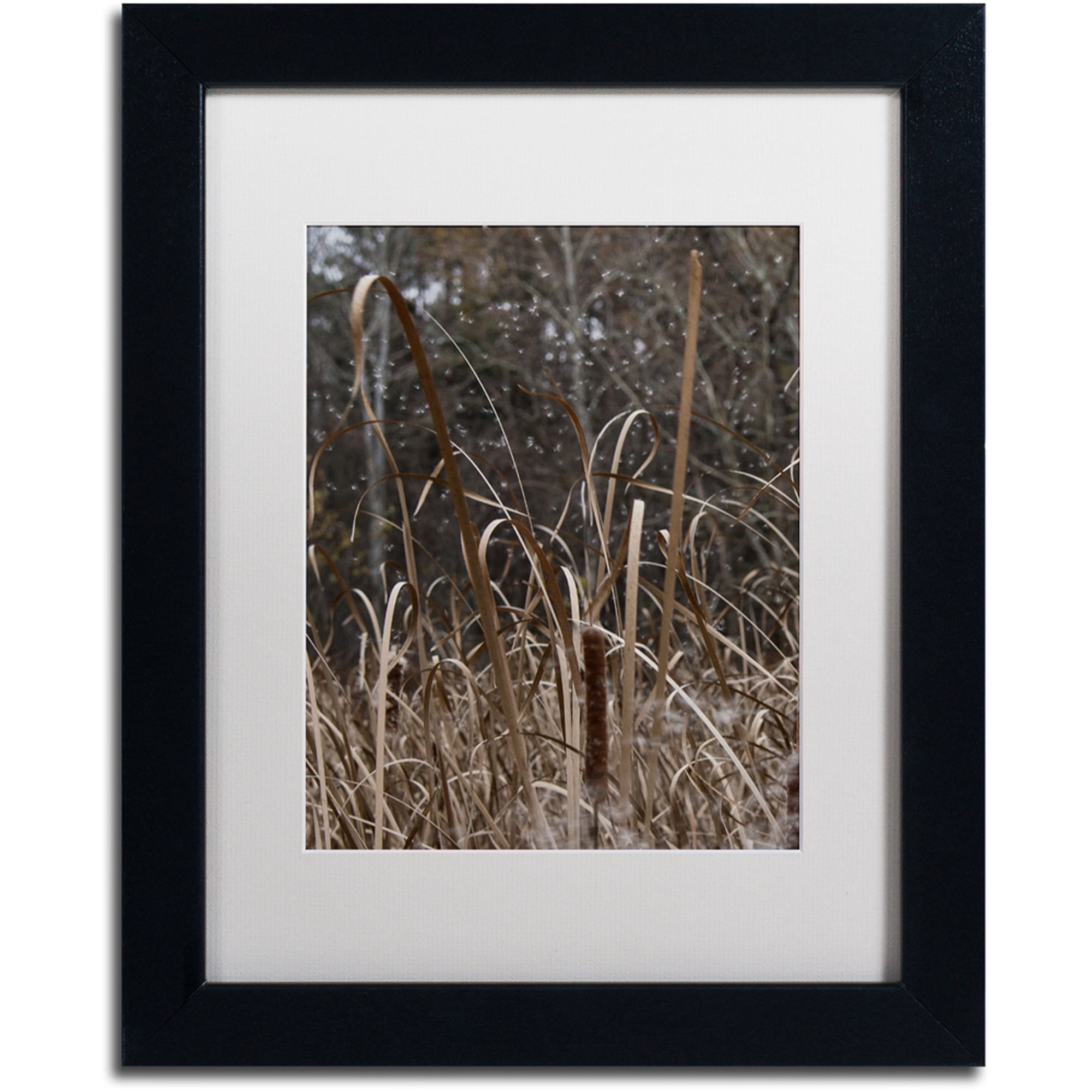 Trademark Fine Art "Cattail Seeds in Flight" Canvas Art by Kurt Shaffer, White Matte, Black Frame