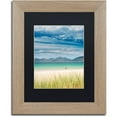 thumbnail image 1 of Trademark Fine Art "Cautious Swimmer" Canvas Art by Michael Blanchette Photography Black Matte, Birch Frame, 1 of 1