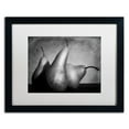 thumbnail image 1 of Trademark Fine Art "Cayendo" Canvas Art by Moises Levy White Matte, Black Frame, 1 of 5