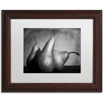 Trademark Fine Art "Cayendo" Canvas Art by Moises Levy White Matte, Wood Frame