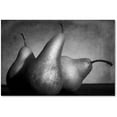 thumbnail image 1 of Trademark Fine Art "Cayendo" Canvas Art by Moises Levy, 1 of 3