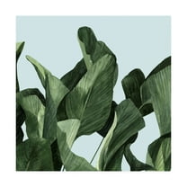 Trademark Fine Art 'Celadon Palms II' Canvas Art by Emma Scarvey