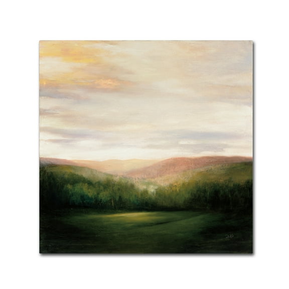 Trademark Fine Art 'Celebration' Canvas Art by Julia Purinton