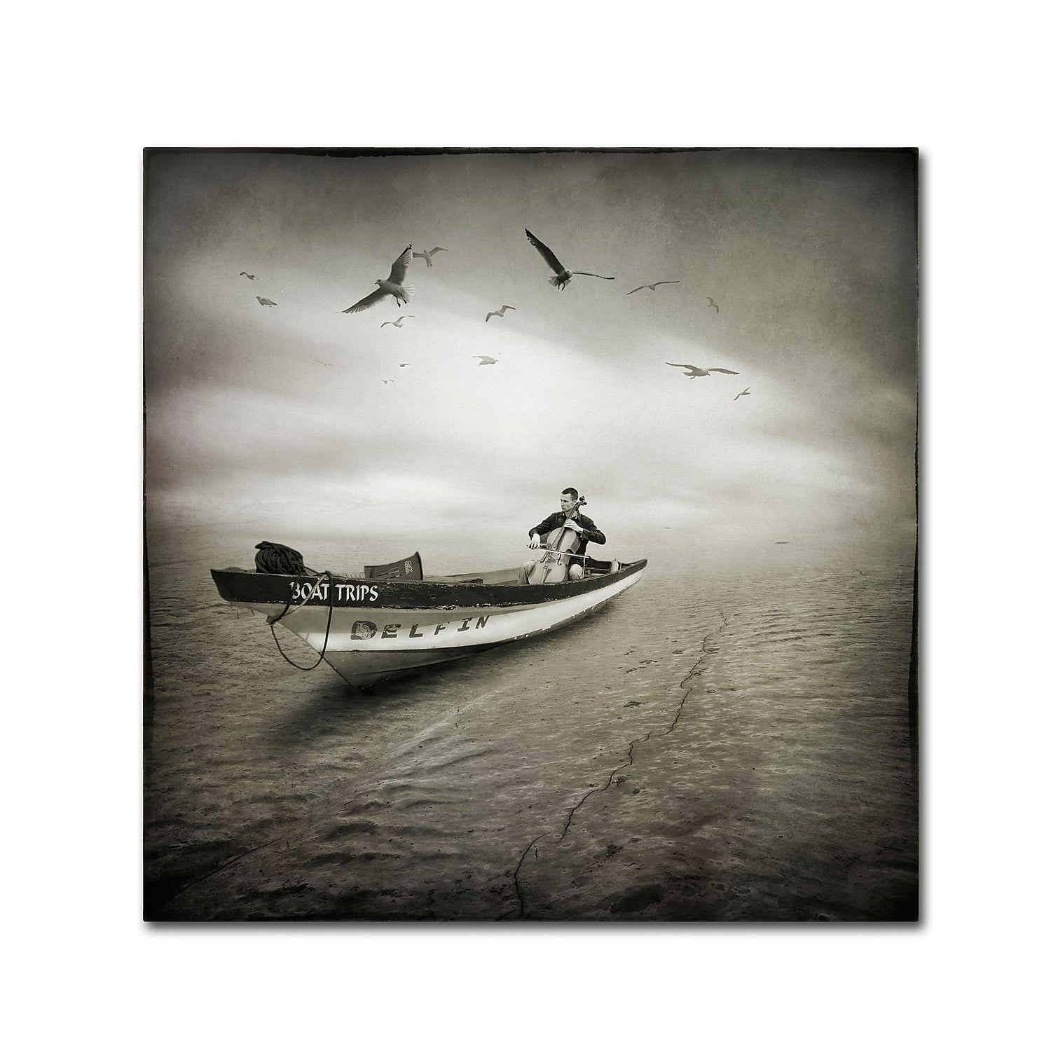 Trademark Fine Art "Cello Sophia" Canvas Art by Moises Levy