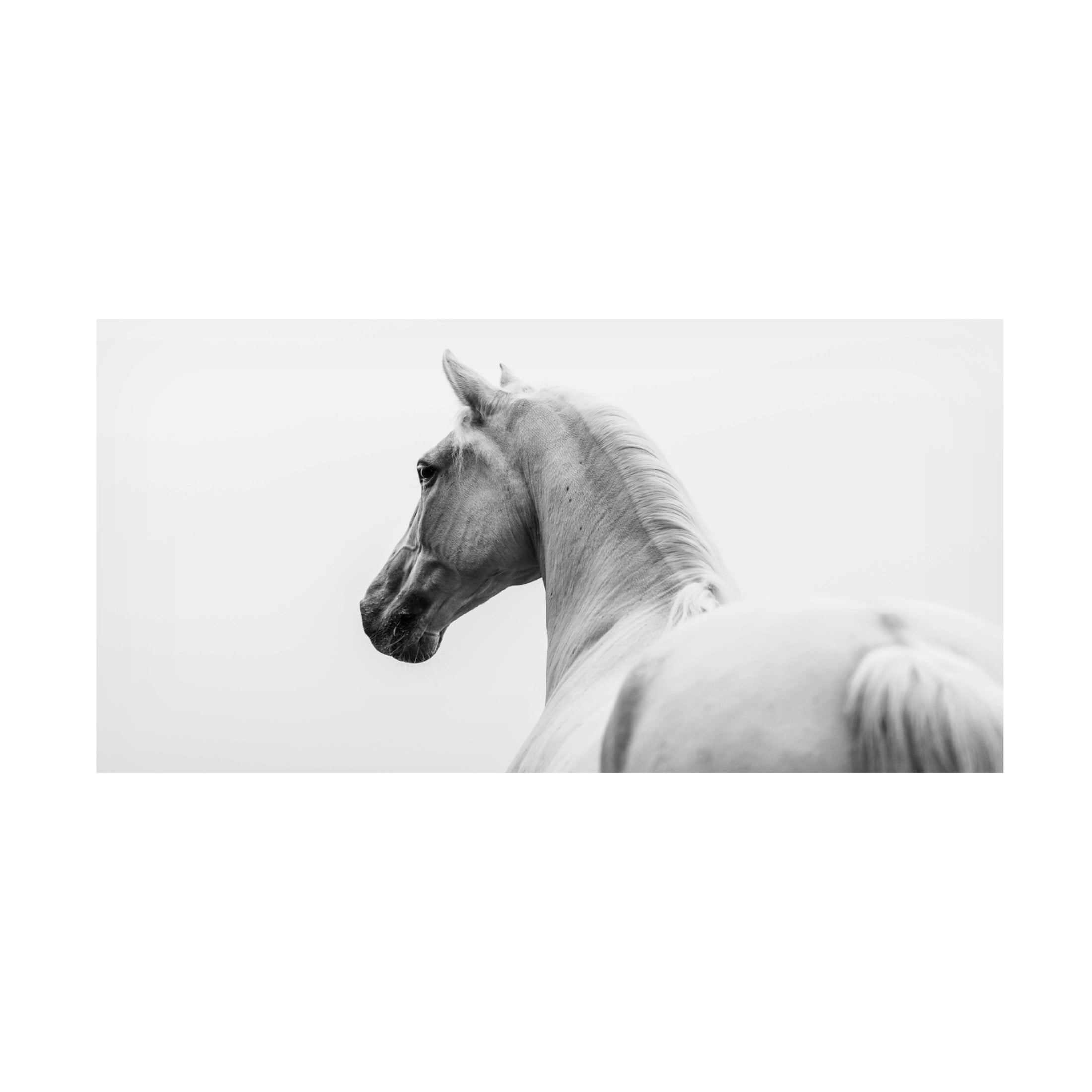 Trademark Fine Art Cembrzynski Ignacy a short story about a shorn horse Canvas Wall Art