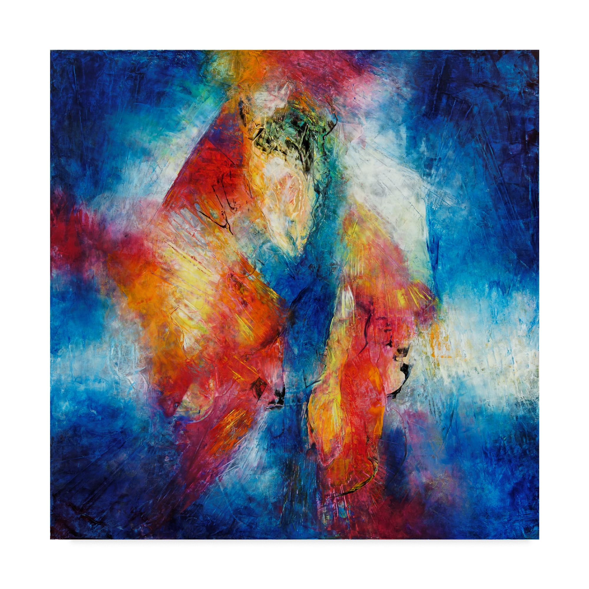 Trademark Fine Art 'Center Of The Universe' Canvas Art by Aleta Pippin