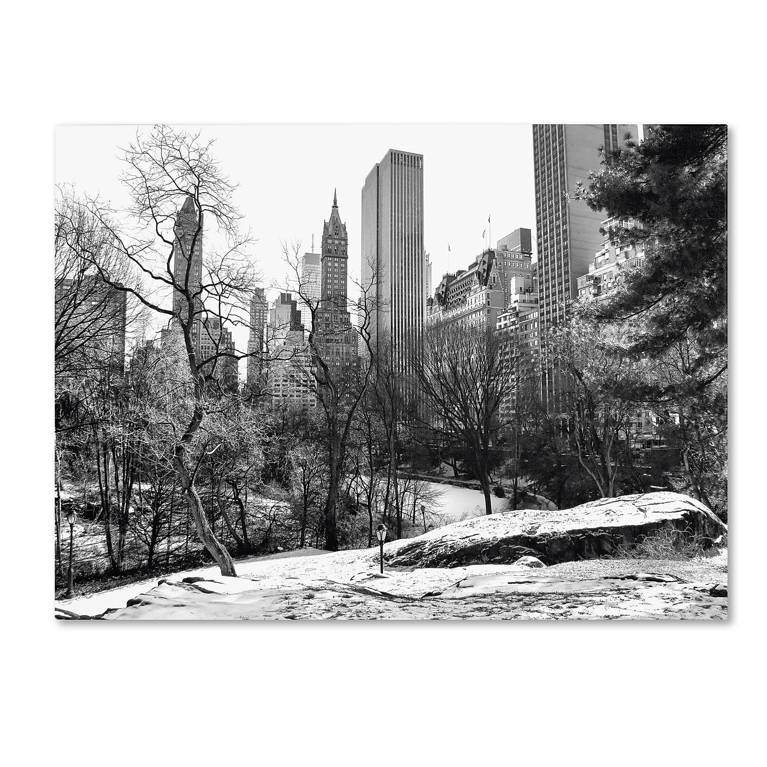 Trademark Fine Art "Central Park" Canvas Art by CATeyes