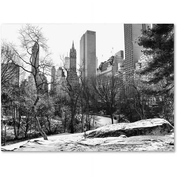 Trademark Fine Art "Central Park" Canvas Art by CATeyes