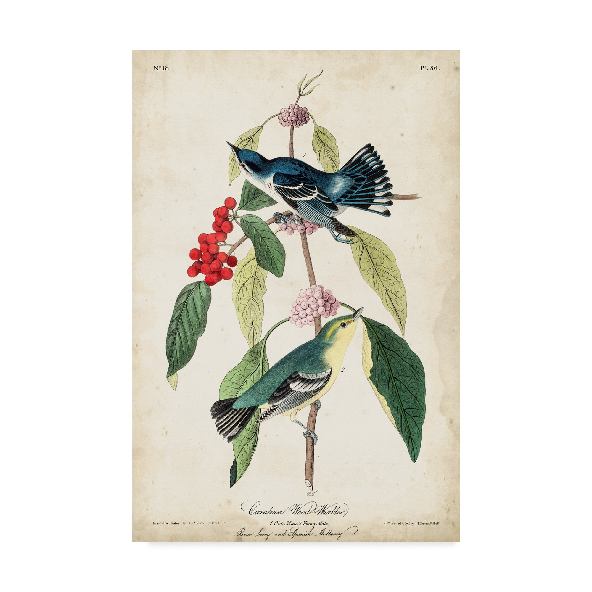 Mid-Century Modern Canvas Art with Green and Blue Birds