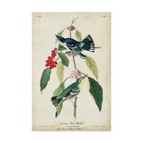 Trademark Fine Art 'Cerulean Wood Warbler' Canvas Art by John James Audubon