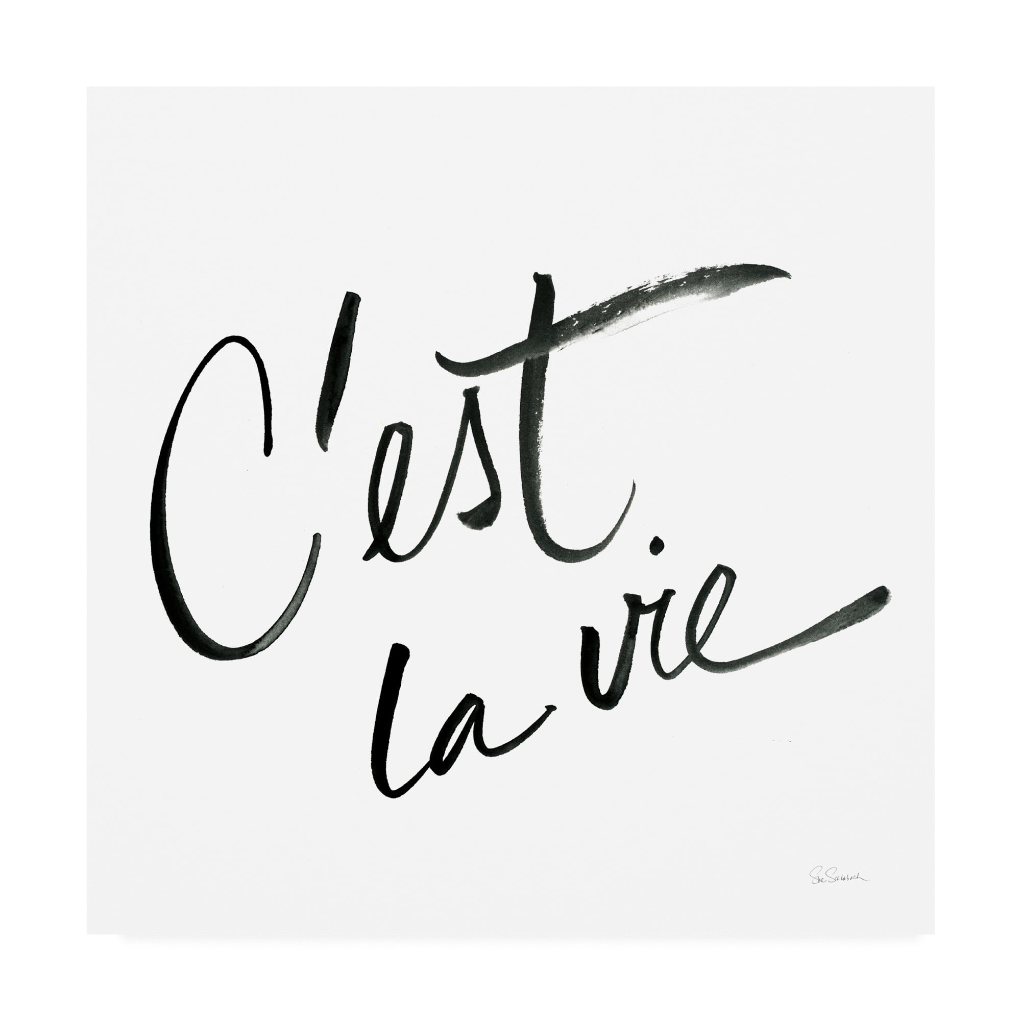 Trademark Fine Art 'Cest La Vie White' Canvas Art by Sue Schlabach
