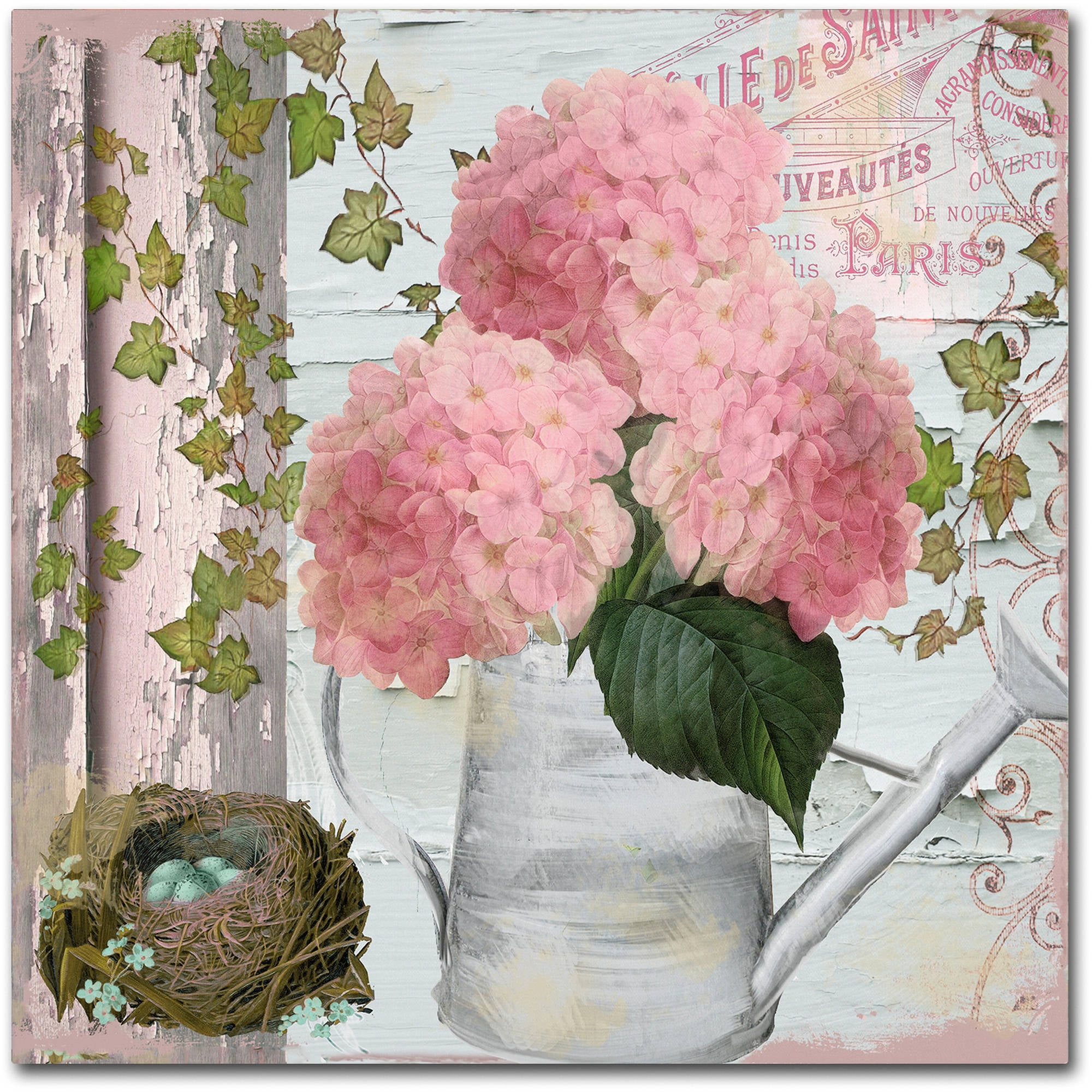 Trademark Fine Art "Chalet d'Ete Hydrangea" Canvas Art by Color Bakery