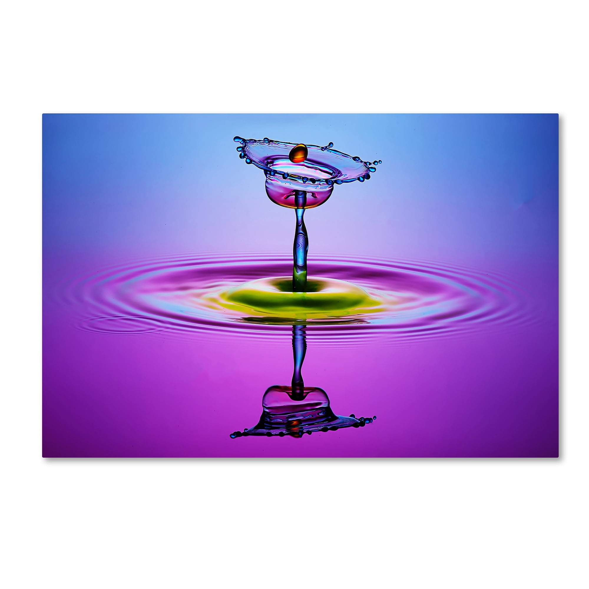 Trademark Fine Art 'Chalice Colors Full' Canvas Art by Muhammad Berkati
