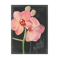 thumbnail image 1 of Trademark Fine Art 'Chalkboard Flower I' Canvas Art by Jennifer Paxton Parker, 1 of 4