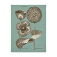 thumbnail image 1 of Trademark Fine Art 'Chambray Chintz III' Canvas Art by Vision Studio, 1 of 4