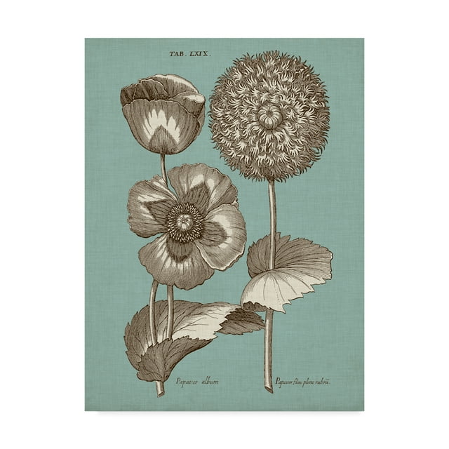 Trademark Fine Art 'Chambray Chintz III' Canvas Art by Vision Studio