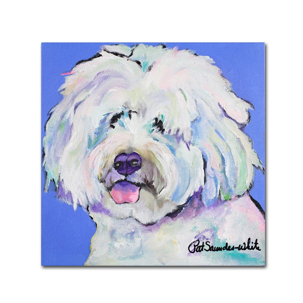 Trademark Fine Art "Champ" Canvas Art by Pat Saunders-White