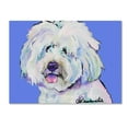 thumbnail image 1 of Trademark Fine Art 'Champ' Canvas Art by Pat Saunders-White, 1 of 3