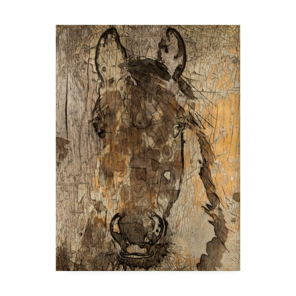 Trademark Fine Art 'Champagne Horse II' Canvas Art by Irena Orlov