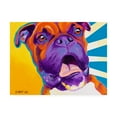 thumbnail image 1 of Trademark Fine Art 'Chance' Canvas Art by DawgArt, 1 of 3
