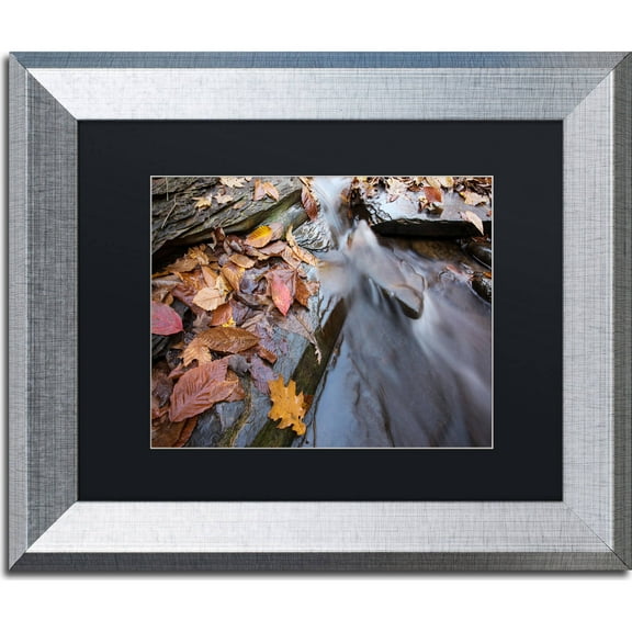 Trademark Fine Art "Chance Creek 1" Canvas Art by Jason Shaffer, Black Matte, Silver Frame