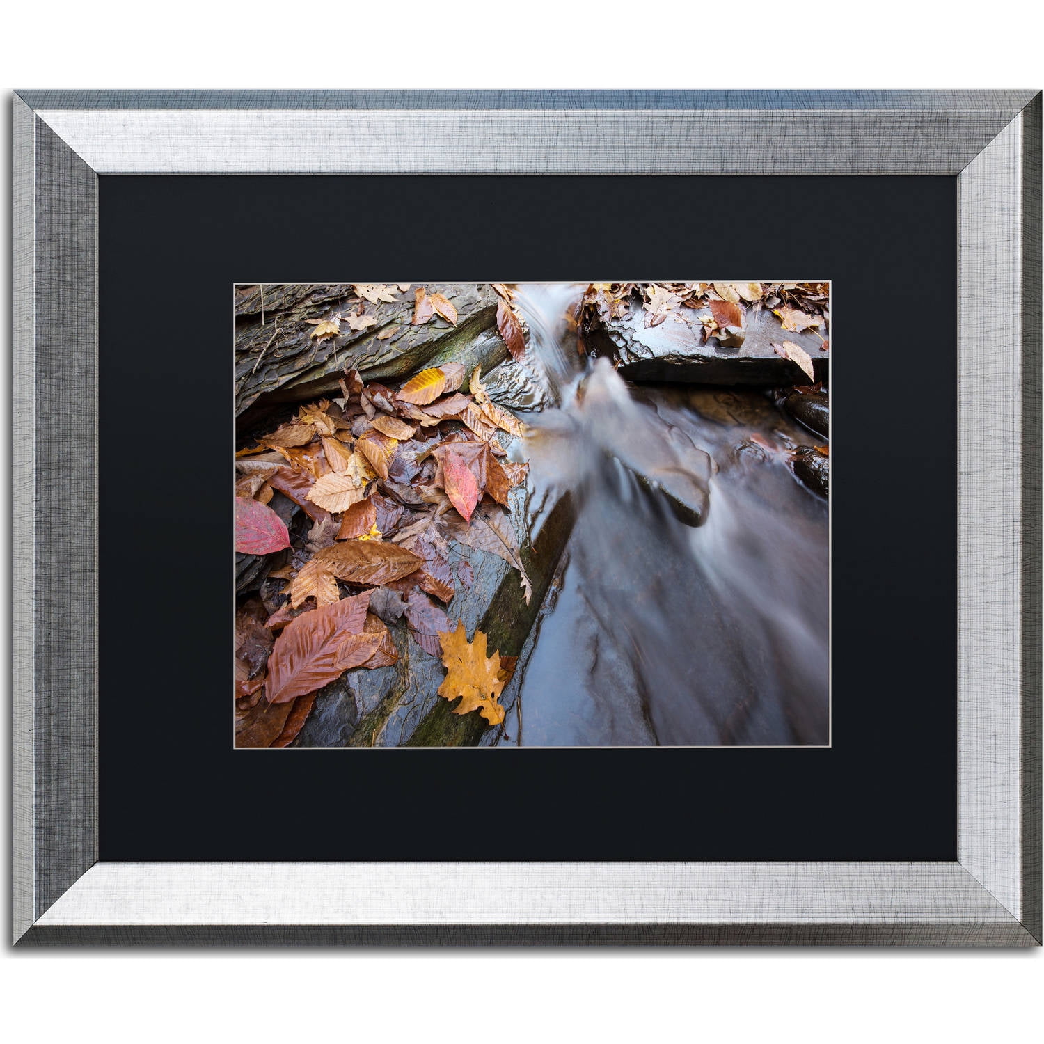 Trademark Fine Art "Chance Creek 1" Canvas Art by Jason Shaffer, Black Matte, Silver Frame