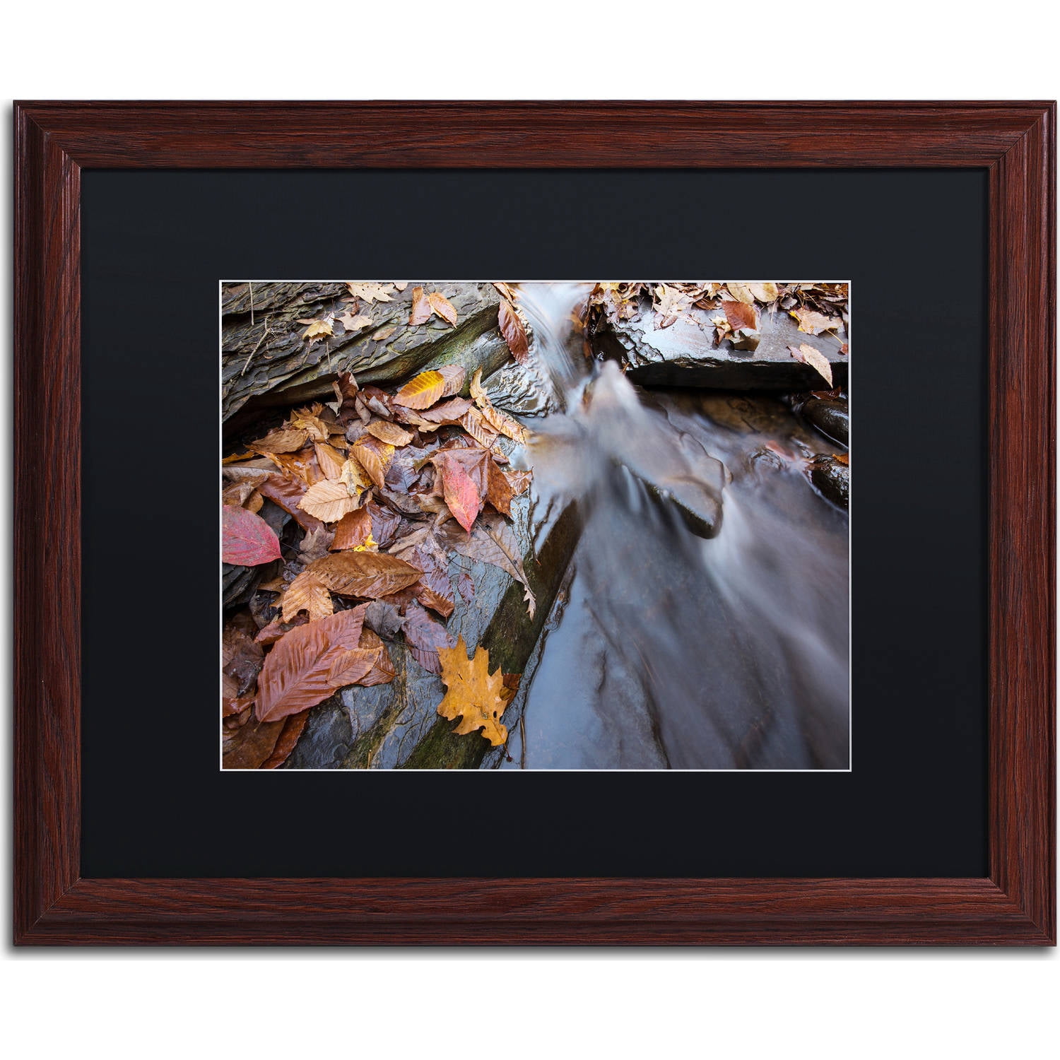 Trademark Fine Art "Chance Creek 1" Canvas Art by Jason Shaffer, Black Matte, Wood Frame