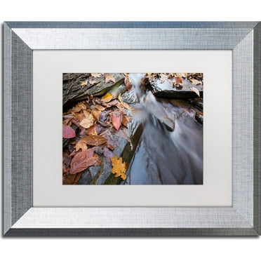 Trademark Fine Art "Chance Creek 1" Canvas Art by Jason Shaffer, White Matte, Silver Frame