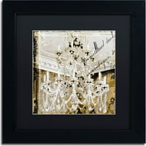 Trademark Fine Art "Chand 2" Canvas Art by Color Bakery, Black Matte, Black Frame