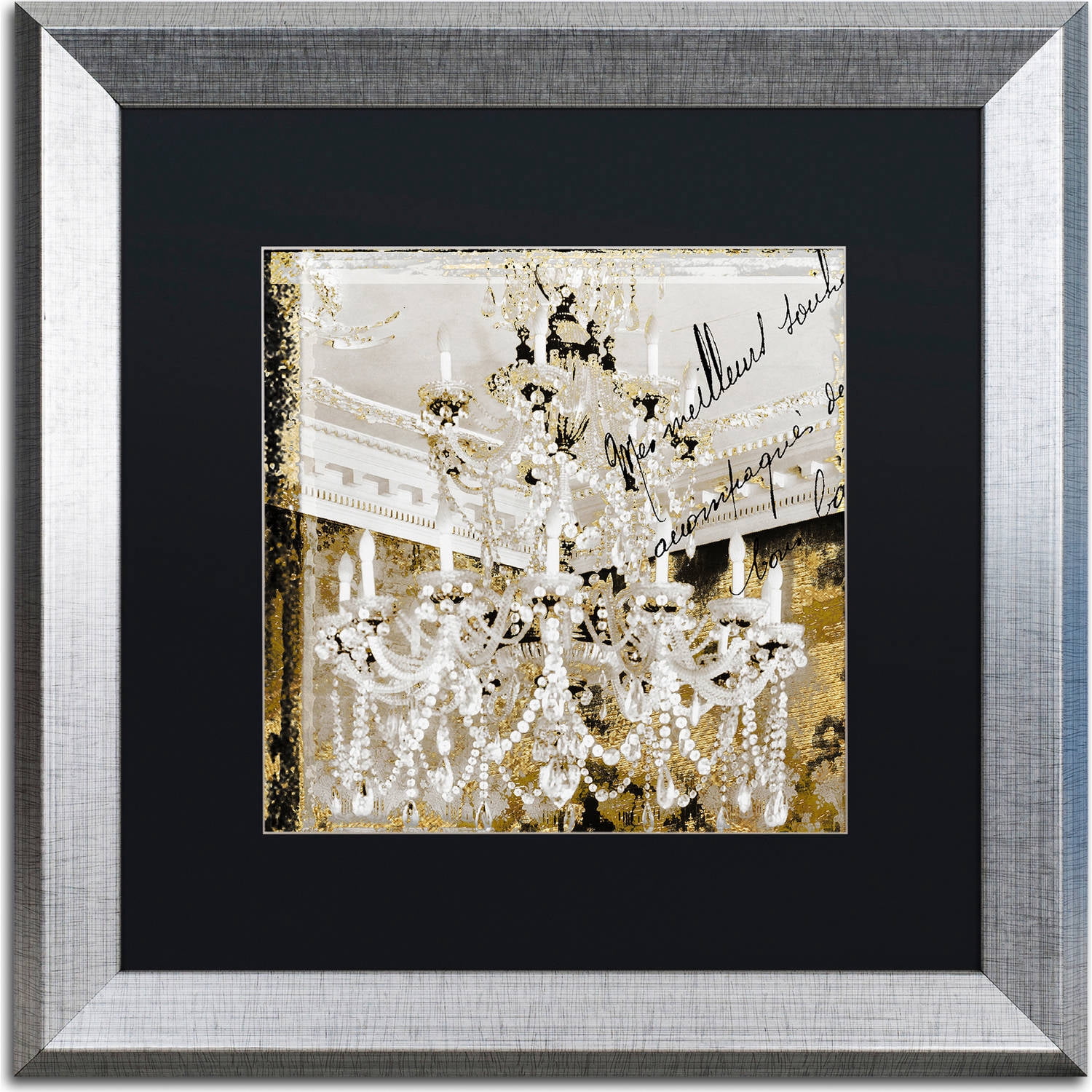 Trademark Fine Art "Chand 2" Canvas Art by Color Bakery, Black Matte, Silver Frame