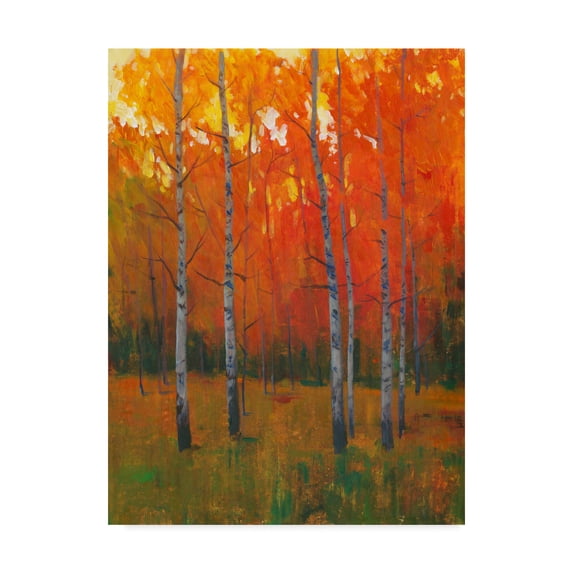 Trademark Fine Art 'Changing Colors I' Canvas Art by Tim OToole