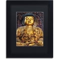 thumbnail image 1 of Trademark Fine Art "Character" Canvas Art by Philippe Hugonnard, Black Matte, Black Frame, 1 of 1
