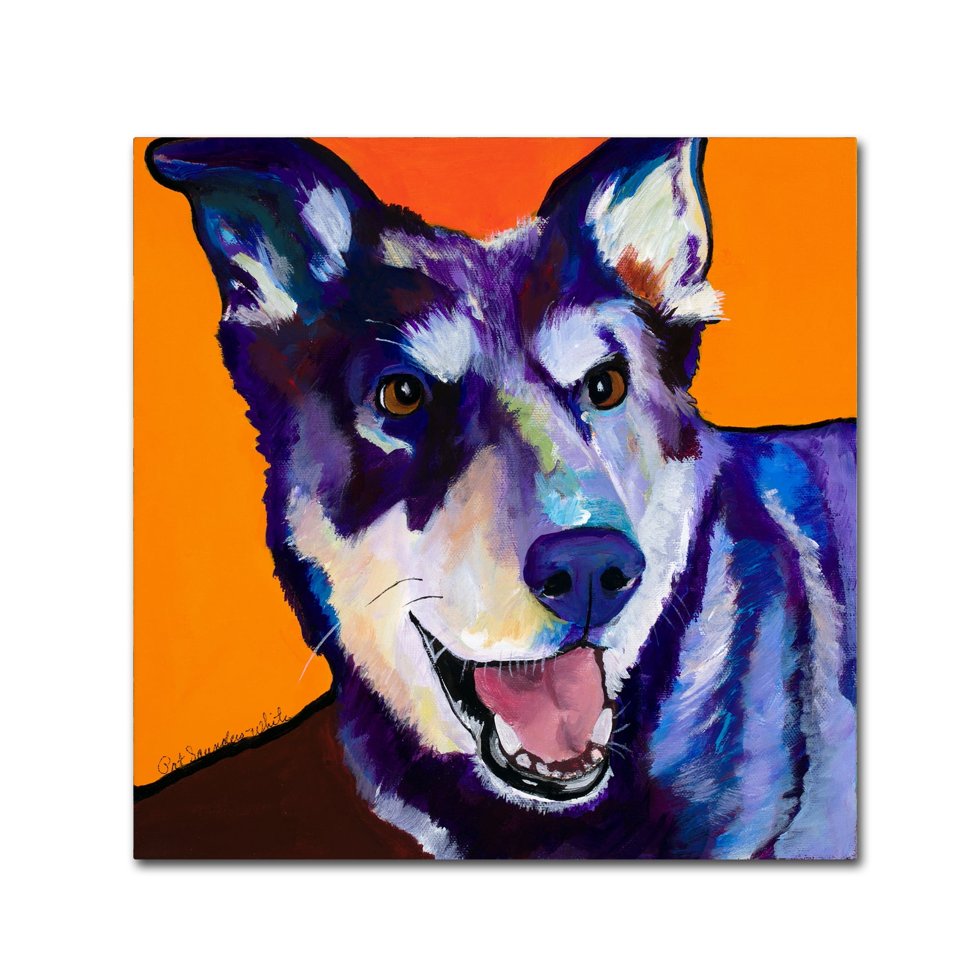 Trademark Fine Art 'Charley' Canvas Art by Pat Saunders-White