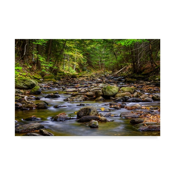 Trademark Fine Art 'Chase Brook 1' Canvas Art by Brenda Petrella Photography Llc