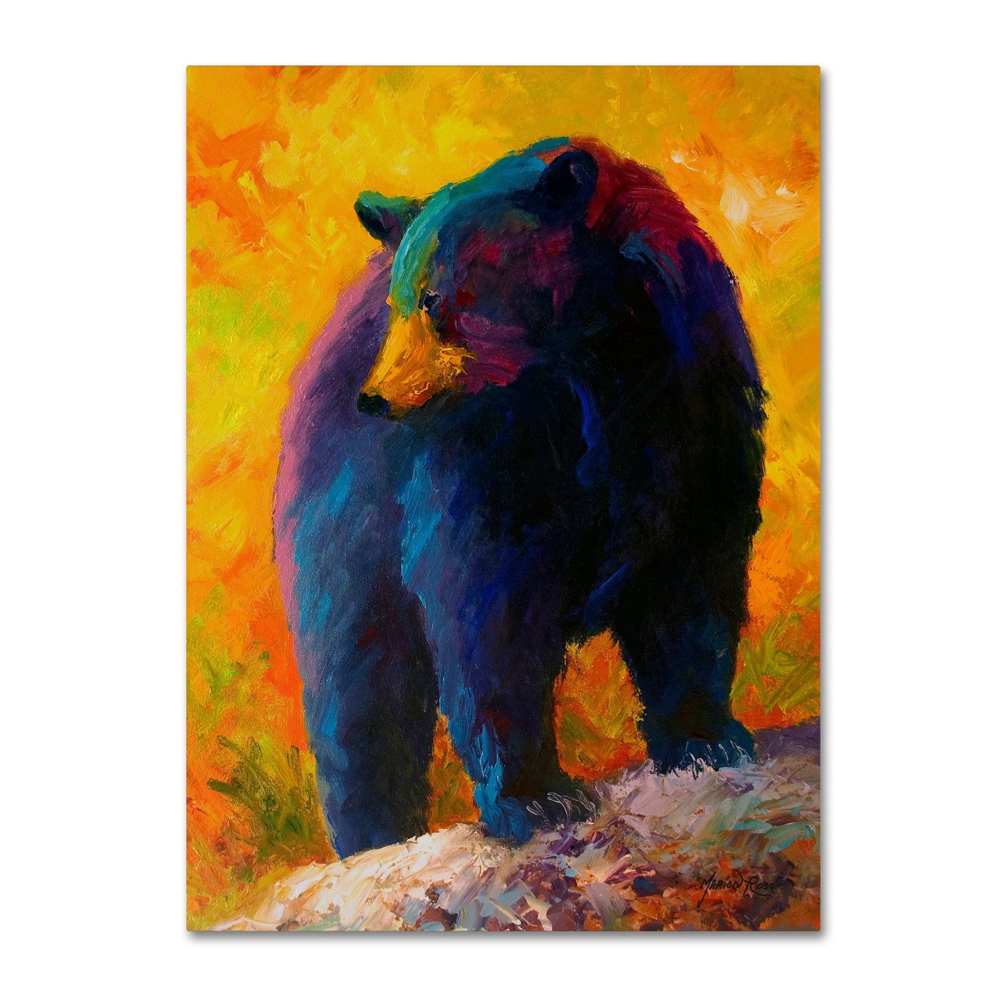 Trademark Fine Art 'Checking Smorg' Canvas Art by Marion Rose