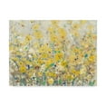 thumbnail image 1 of Trademark Fine Art 'Cheerful Garden I' Canvas Art by Tim OToole, 1 of 4