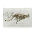 thumbnail image 1 of Trademark Fine Art 'Cheetah v.2' Canvas Art by James Wiens, 1 of 4
