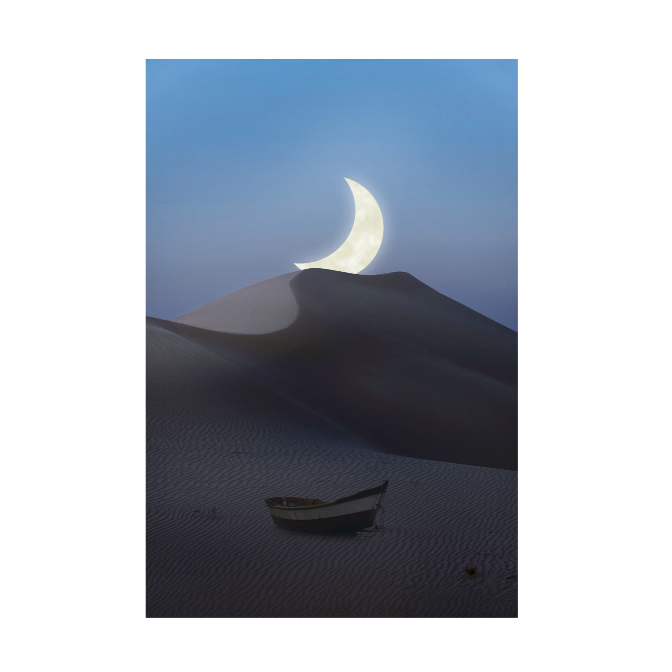 Trademark Fine Art Chen Quansheng This used to be an ocean Canvas Wall Art