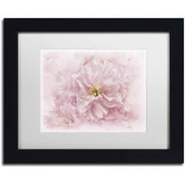 Trademark Fine Art 'Cherry Blossom' Canvas Art by Cora Niele, White Matte, Black Frame