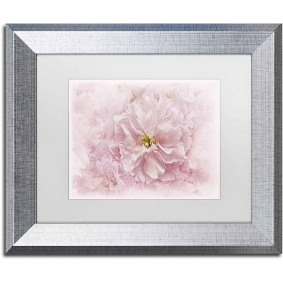 Trademark Fine Art 'Cherry Blossom' Canvas Art by Cora Niele, White Matte, Silver Frame