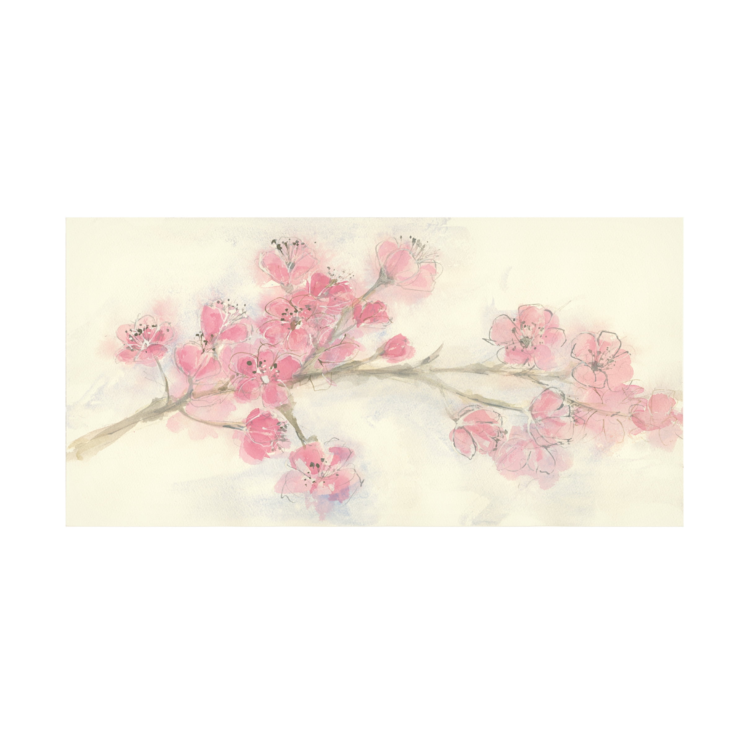 Trademark Fine Art 'Cherry Blossom I' Canvas Art by Chris Paschke