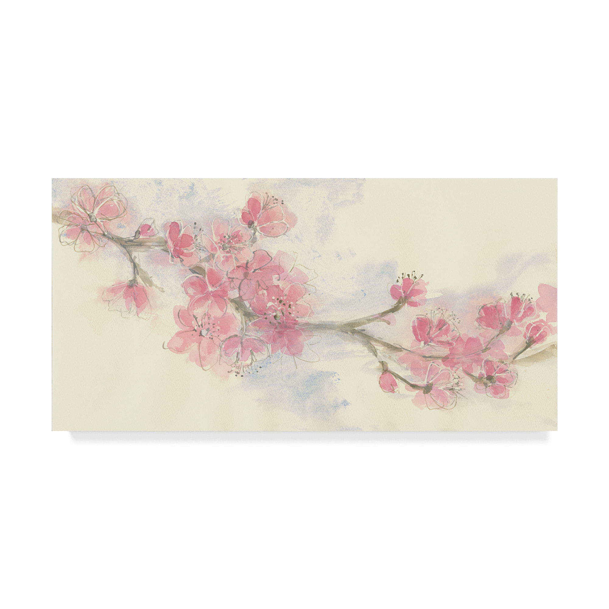 Chris Paschke 'Cherry Blossom Ii' Canvas Art
