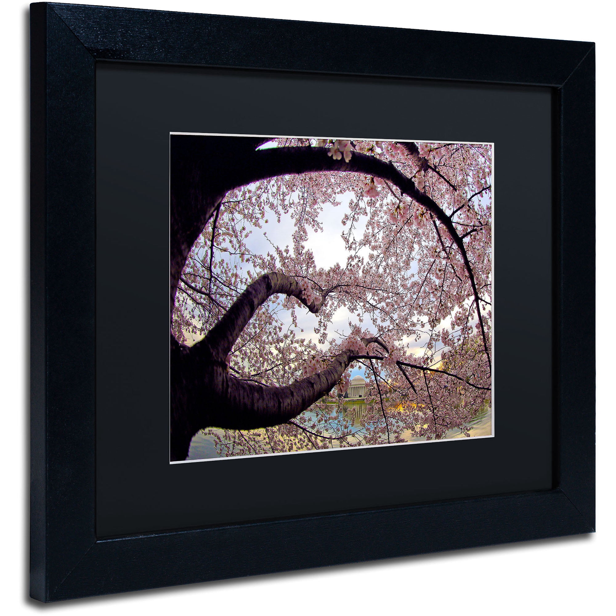Trademark CATeyes "Cherry Blossoms 2014-1" Art Black Matte W/Black Frame 16" x 20" (MZ0295-B1620BMF)