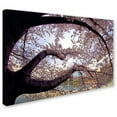 thumbnail image 1 of Trademark Fine Art "Cherry Blossoms 2014-1" Canvas Art by CATeyes, 1 of 1